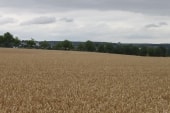 Vers Courcelles-lès-Gisors